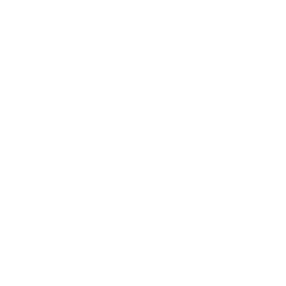 SS Bikez photo